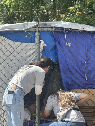 Labor en terreno