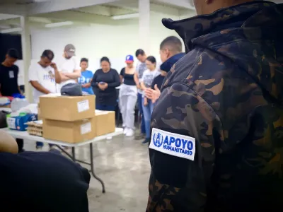 Labor en terreno